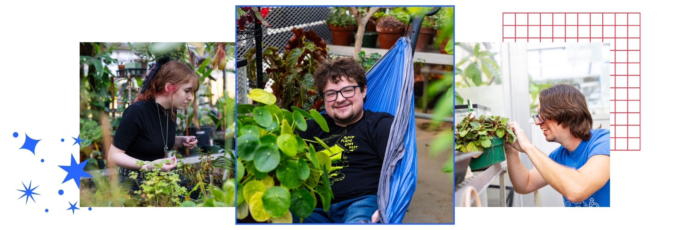 A collage featuring University of Kansas students and staff at the Haworth Hall Greenhouse.