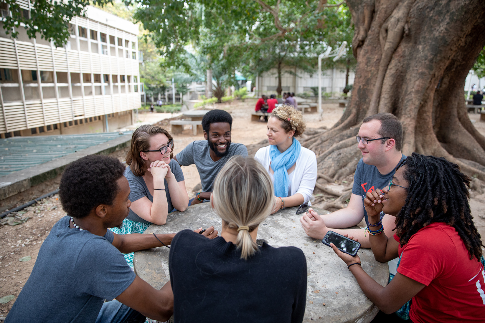 Building Bridges: Navigating the Transfer Journey