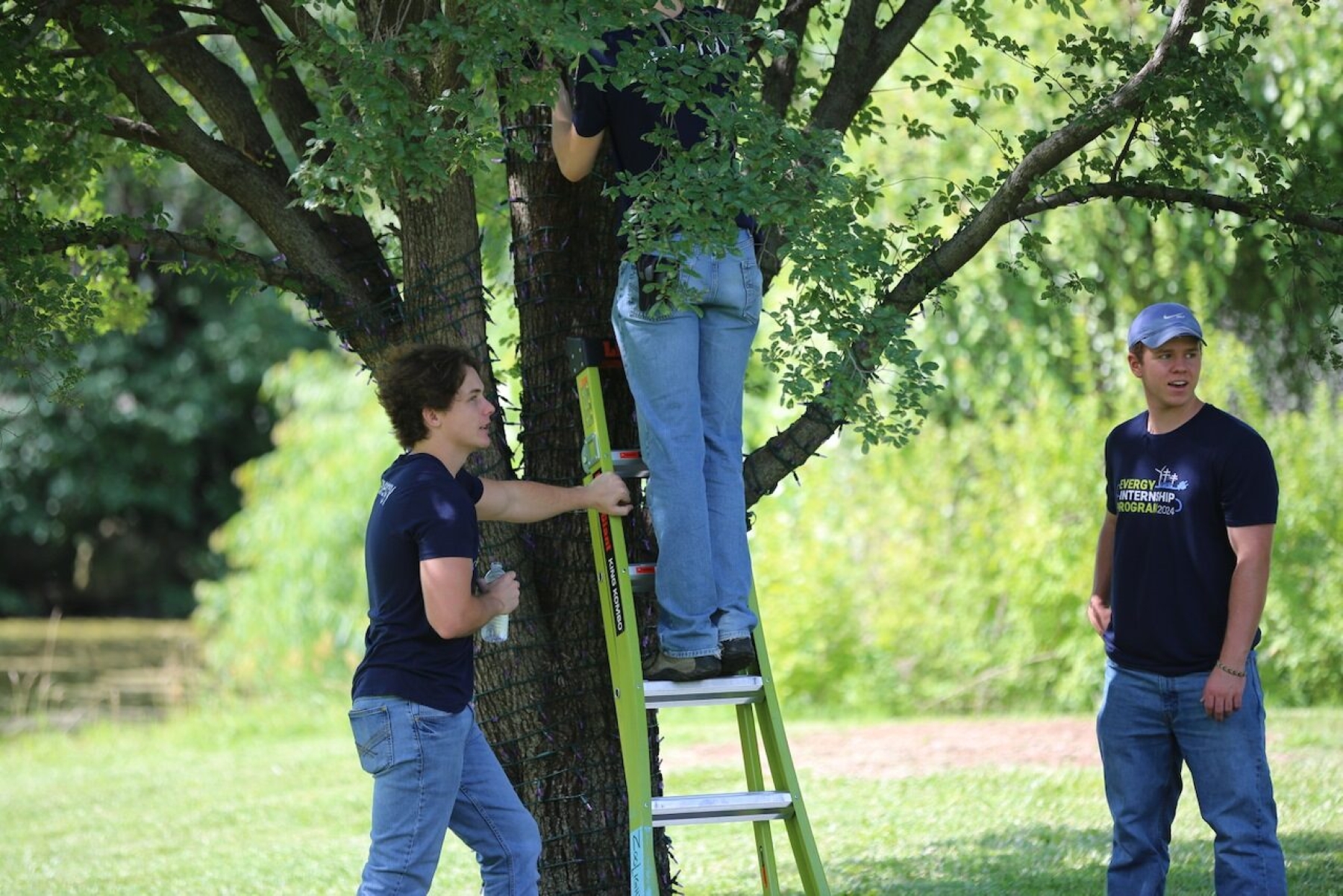 Evergy interns at the Topeka Zoo putting up lights on the trees for a service event. KU student Drake Schotland is pictured on the right, in the blue cap.  