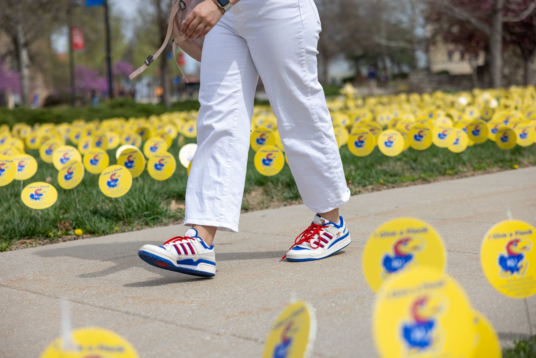 A student walks through a display of small yellow circular signs that look like a field of flowers in front of Watson Library for KU campus safety awareness, as part of the Jayhawks Give a Flock campaign.