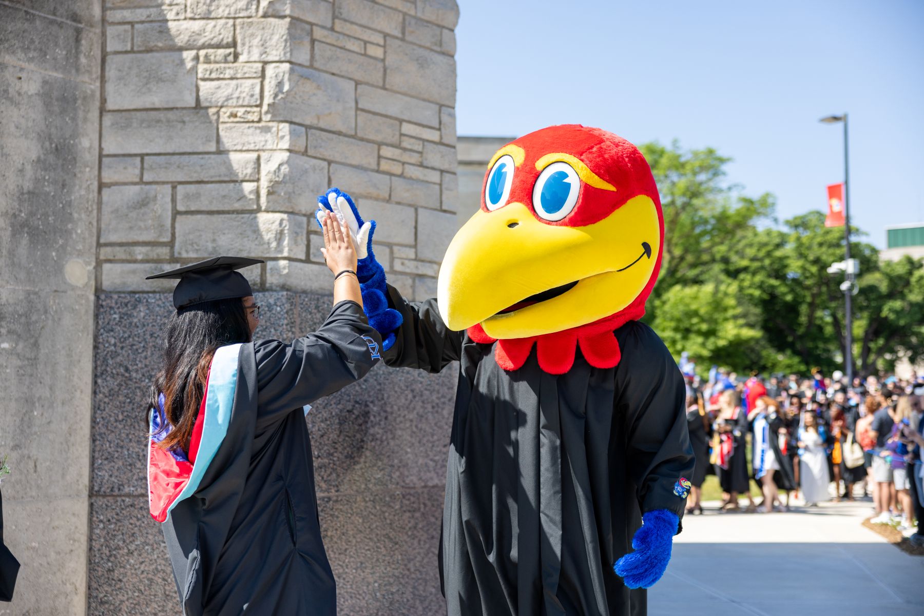 A KU graduate student high fives the Jayhawk mascot at the graduation ceremony. 