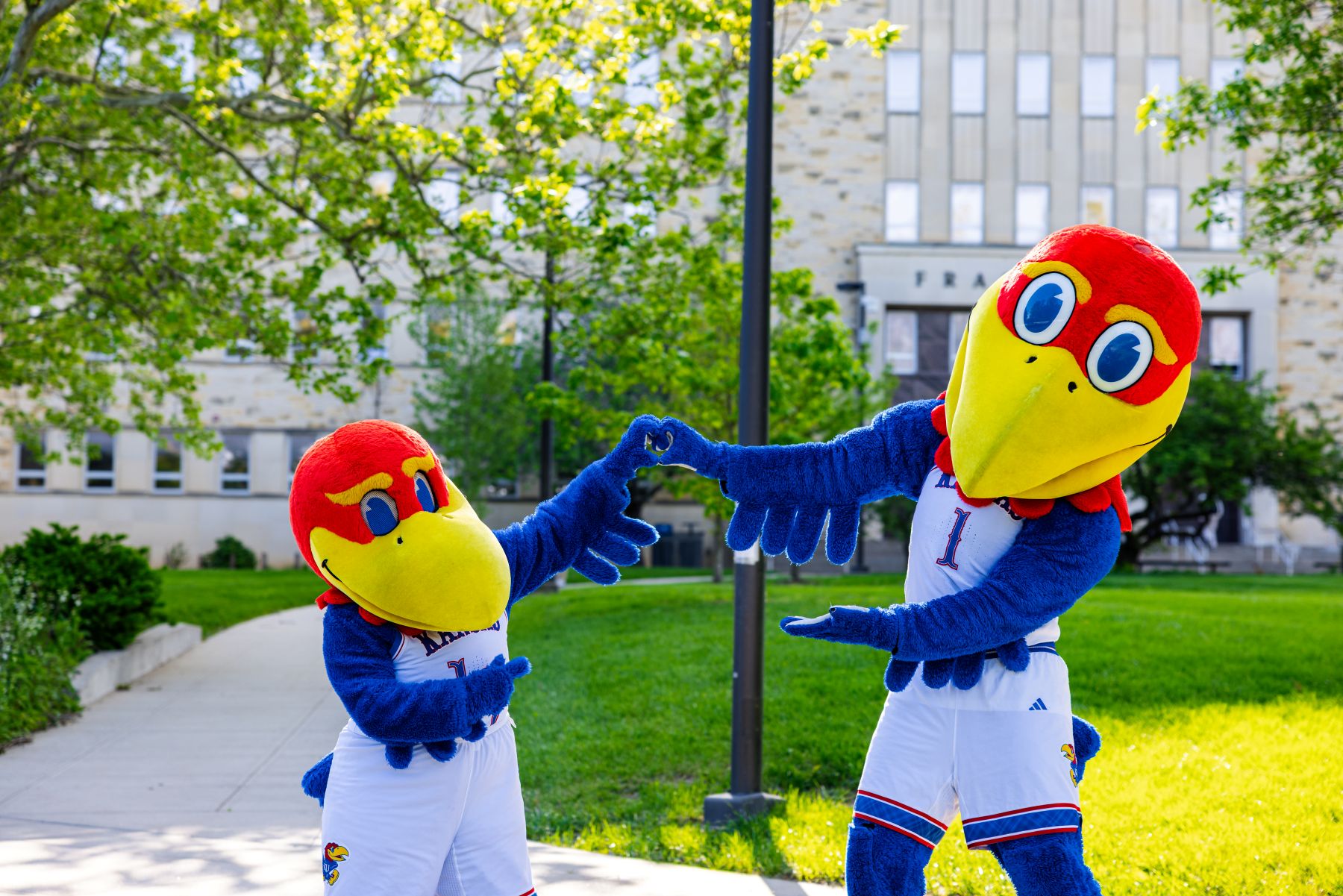 The University of Kansas mascots, known as Big Jay and Baby Jay, make a heart shape with their winged hands on campus. 